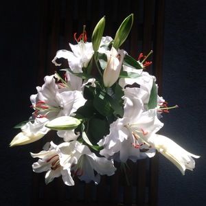 Meet your Posher, Jamie